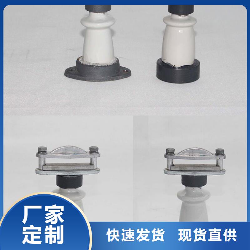 ZN-10/4绝缘子