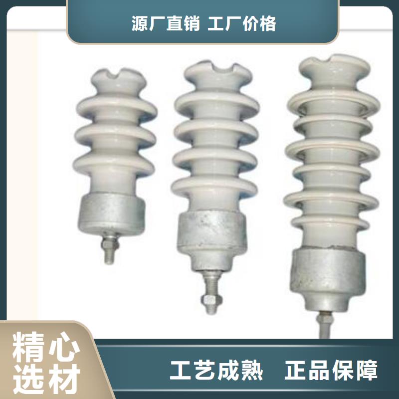 绝缘子穿墙套管用心服务-樊高电气销售部(上饶市分公司)|覆盖地域德兴|铅山|抚州|吉安|赣州|萍乡