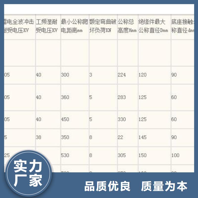 XWP2-100高压陶瓷绝缘子