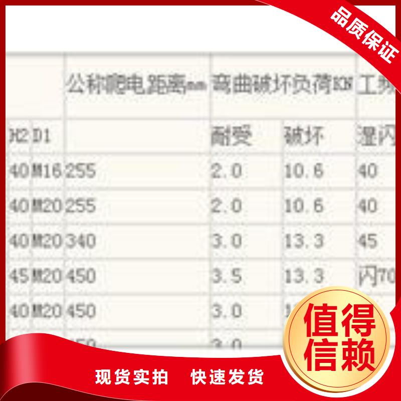 ZSW-110/4-3高压绝缘子樊高电气