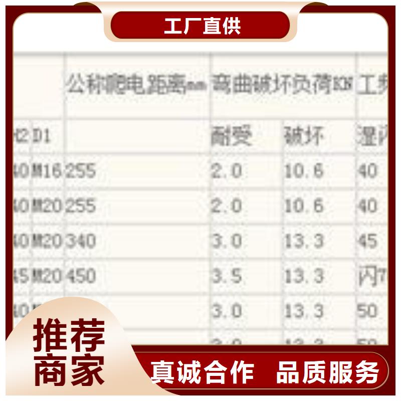 ZS-35/16户外高压绝缘子