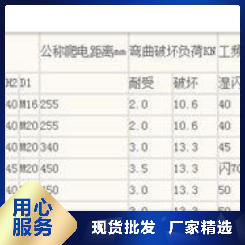 CH4-10Q/150环氧树脂绝缘子优惠