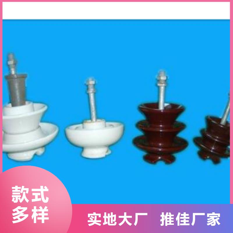 FZSW4-24/8L高压复合绝缘子
