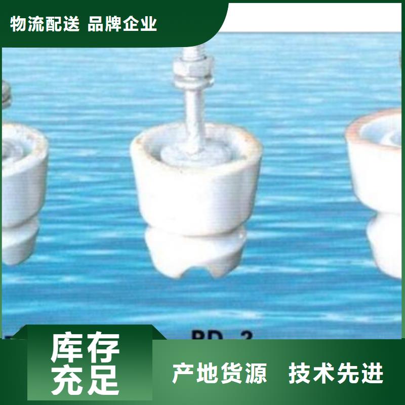 ZS-110/12.5陶瓷支柱绝缘子