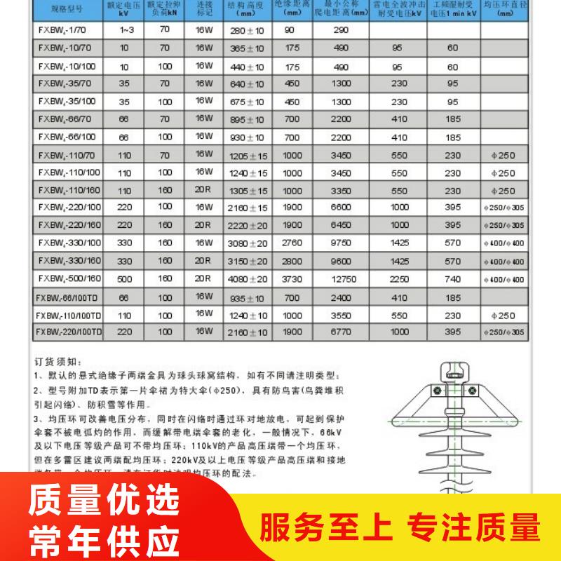 ZSW-110/10绝缘子