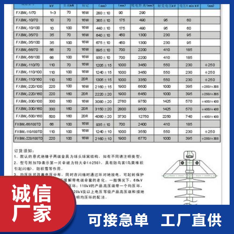 FXBW3-66/70棒型绝缘子