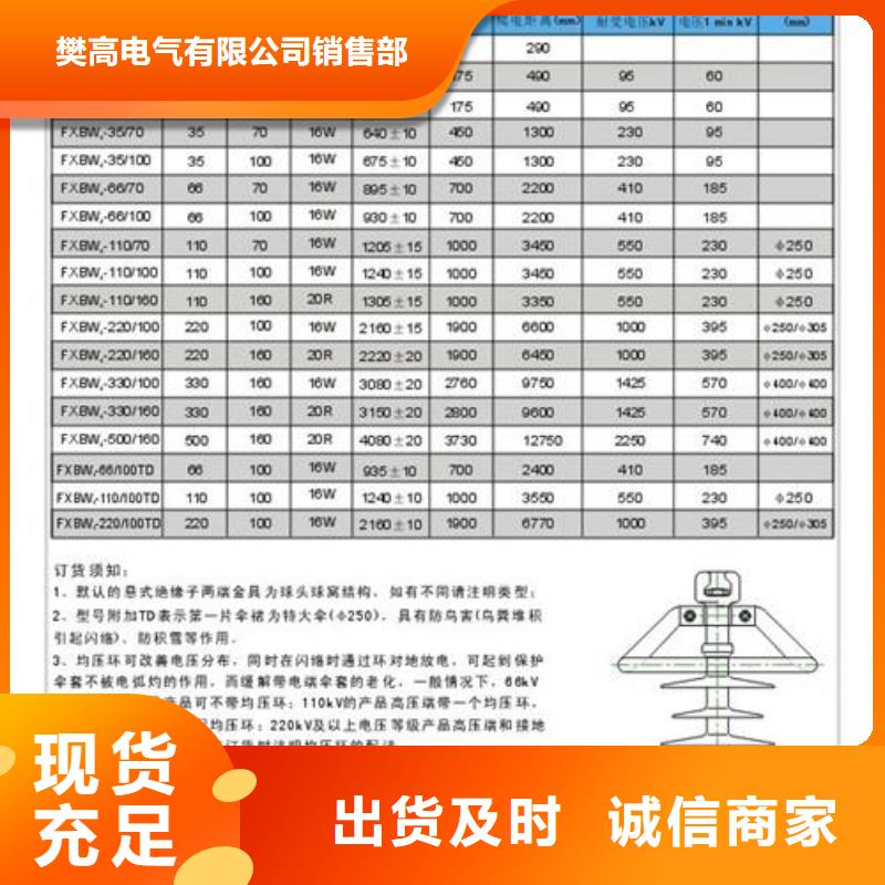 ZB-6T绝缘子