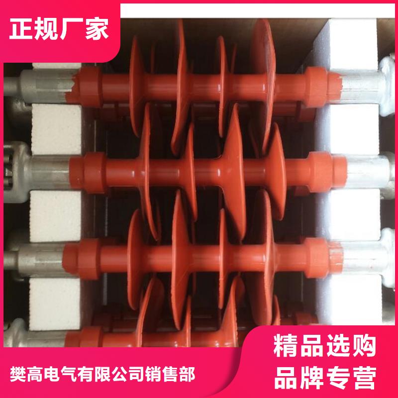 氧化锌避雷器樊高【 绝缘子 电缆附件好产品有口碑】