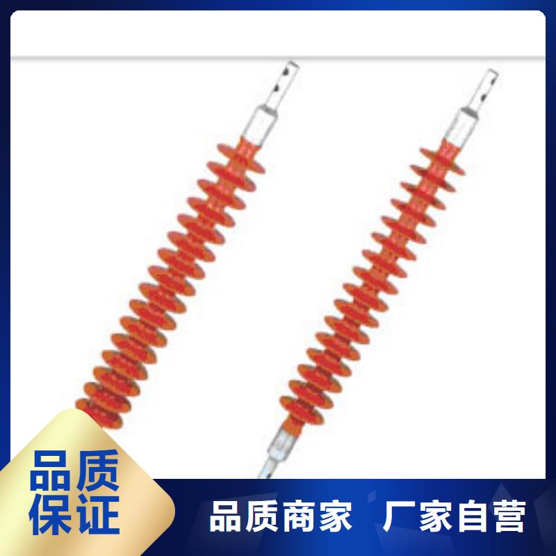 XWP2-100高压陶瓷绝缘子