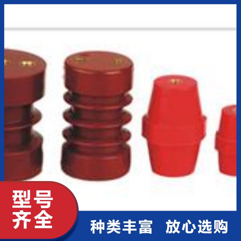 FXBW1-220/100复合绝缘子樊高