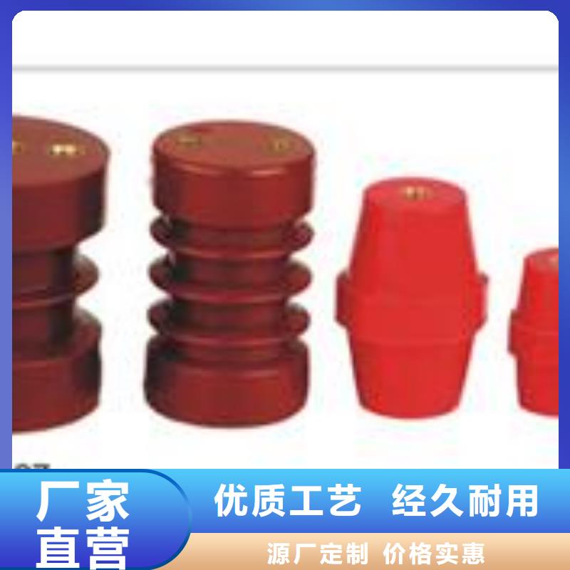 ZJ-10KV/65*140高压绝缘子