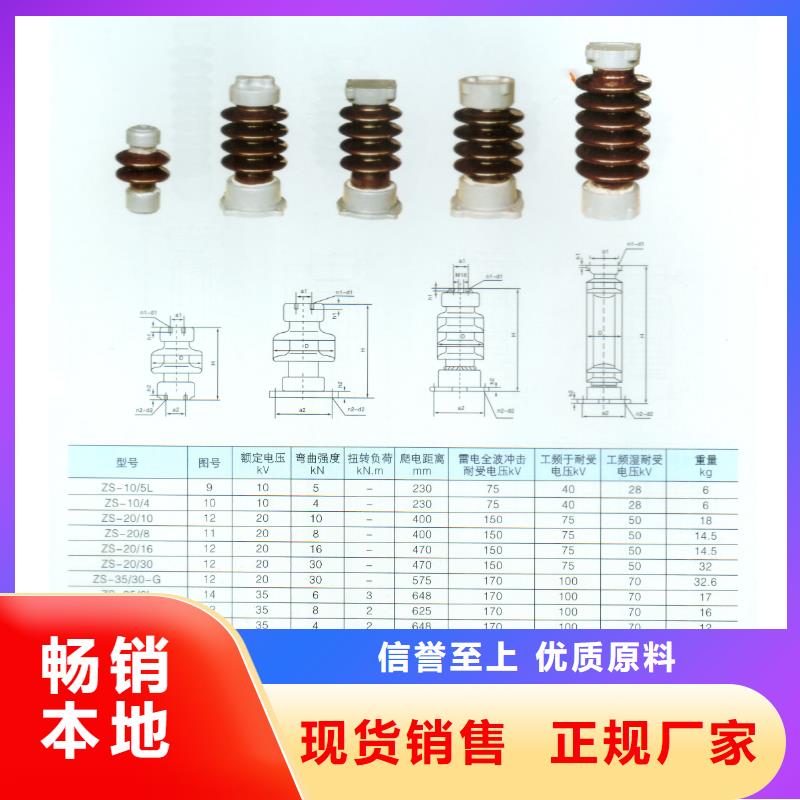 FZSW3-40.5/6-1复合支柱绝缘子