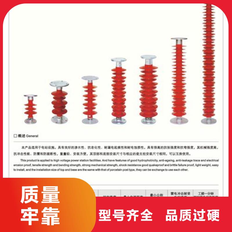 【绝缘子 真空断路器现货批发】-樊高电气销售部(通化市分公司)