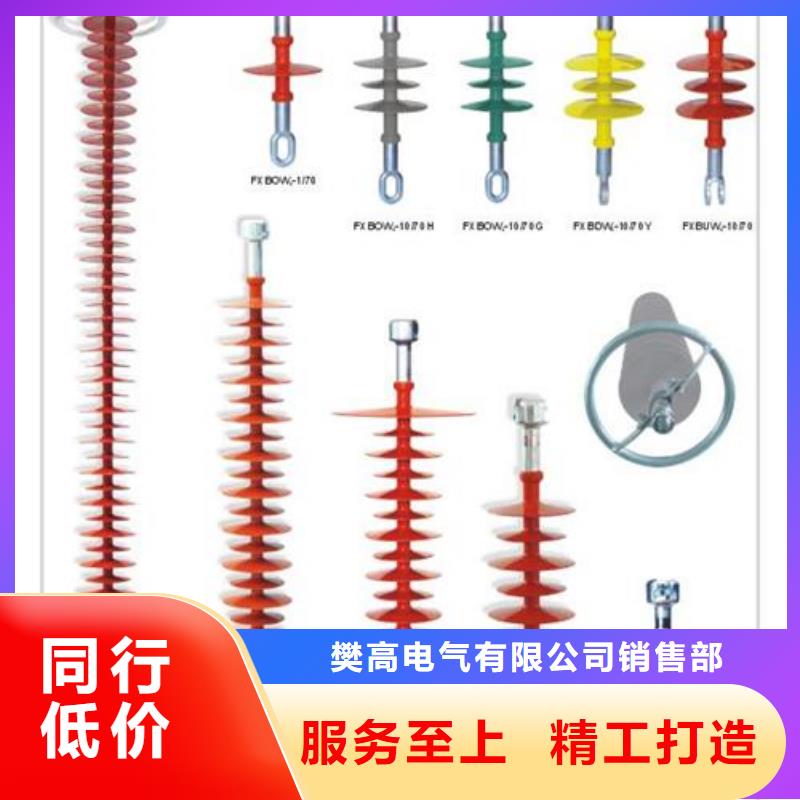 FXBW1-220/100复合绝缘子