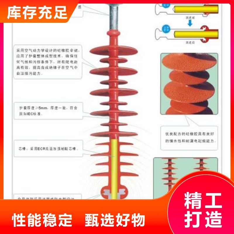 FXBW2-220/100高压复合棒型绝缘子