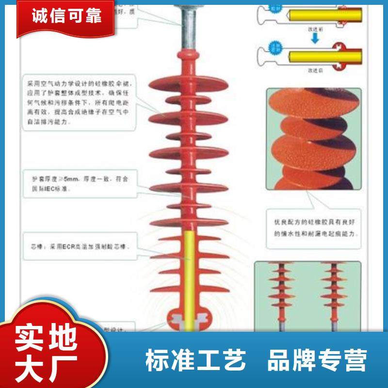 绝缘子 【穿墙套管】匠心品质 樊高电气销售部(泰州市分公司)