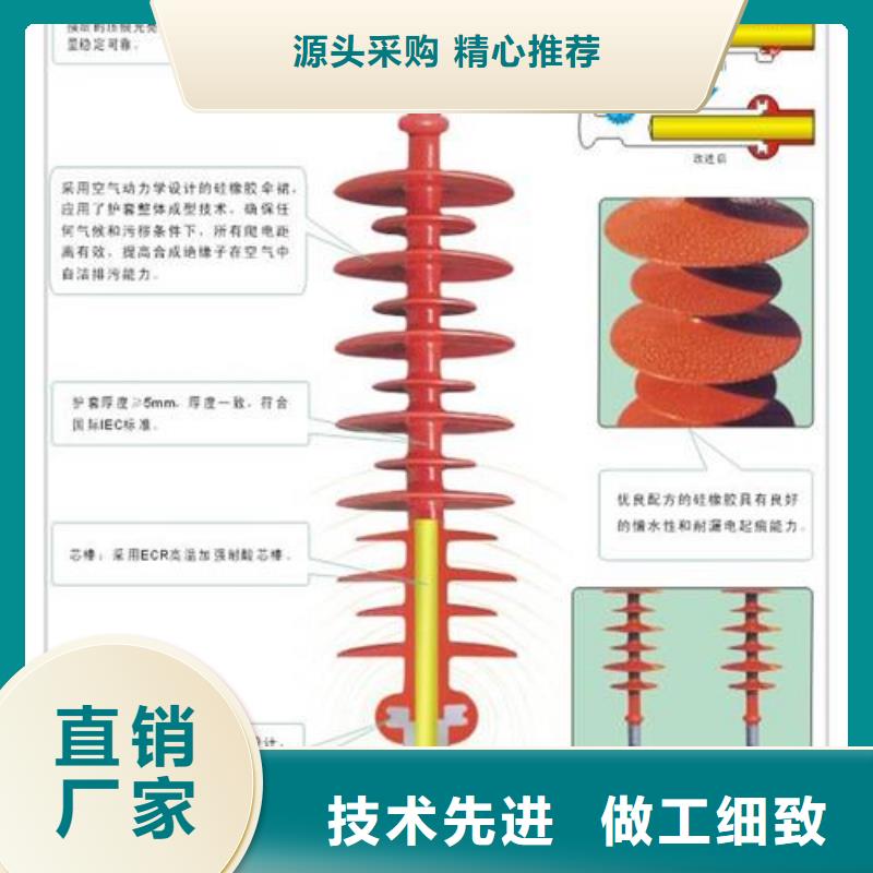 FXBW2-220/100高压绝缘子价格