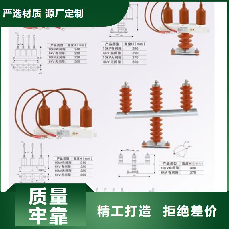 樊高【过电压保护器】绝缘子一站式采购-氧化锌避雷器