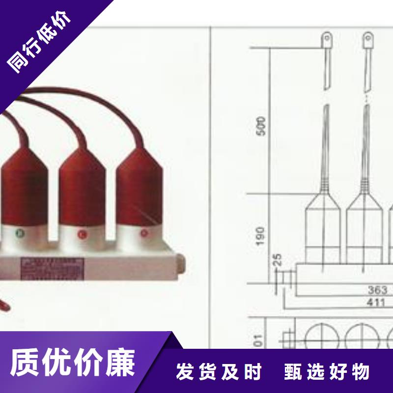 【 过电压保护器_穿墙套管批发商】-樊高电气销售部(黔西南市分公司)