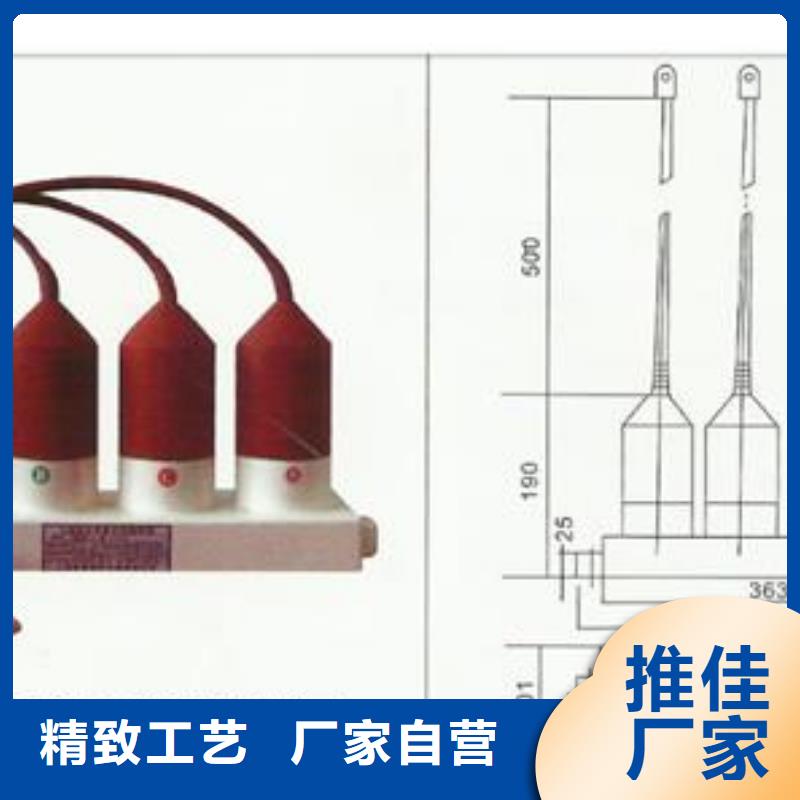 【过电压保护器】 氧化锌避雷器工厂价格_樊高电气销售部(山南市分公司)