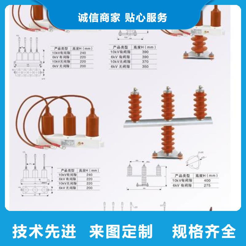 樊高【过电压保护器】绝缘子一站式采购-氧化锌避雷器