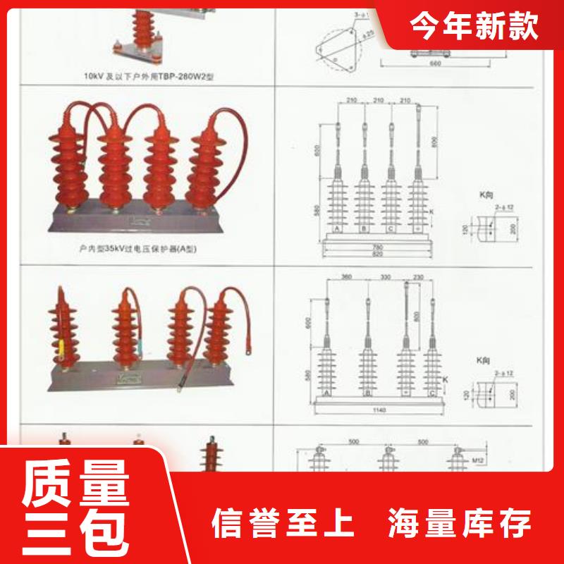 樊高氧化锌避雷器过电压保护器【高压开关柜】品质服务
