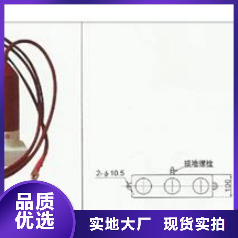 TBP-B-7.6F/131-J三相组合式氧化锌避雷器