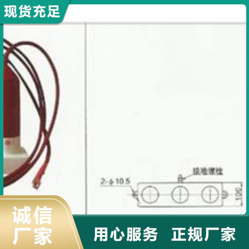 TBP-A-42F/400W1三相组合式氧化锌避雷器