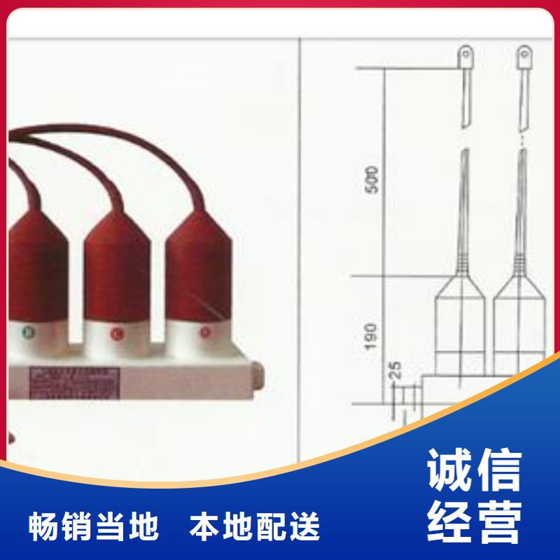 过电压保护器真空断路器实力优品-樊高电气销售部(抚州市分公司)