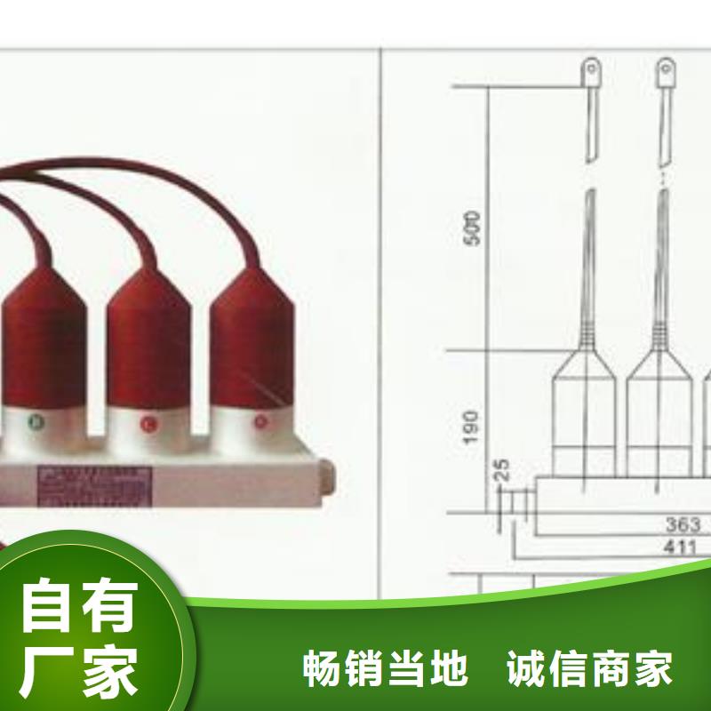 过电压保护器真空断路器多种优势放心选择