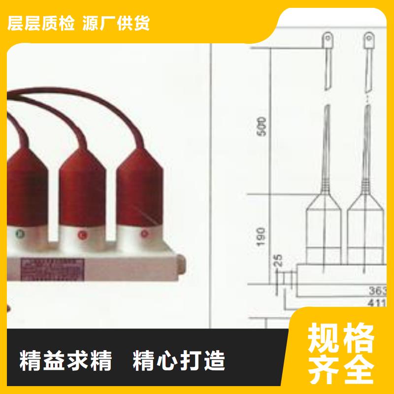 过电压保护器【高低压电器】匠心工艺|靖江|海陵|盐城|镇江|连云港|南京|宿迁经销商