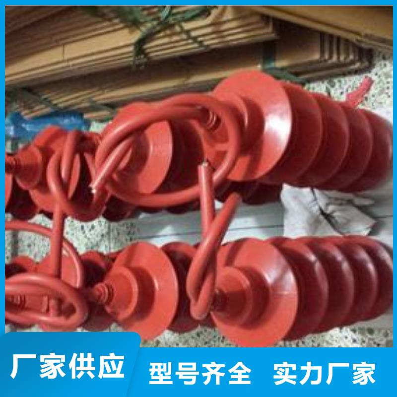 樊高氧化锌避雷器过电压保护器跌落式熔断器售后服务完善企业旺旺