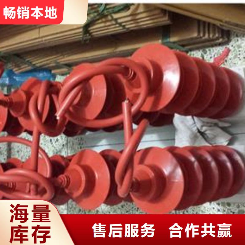 过电压保护器真空断路器专注生产制造多年-可发货到日照|烟台|聊城|临沂|菏泽|威海