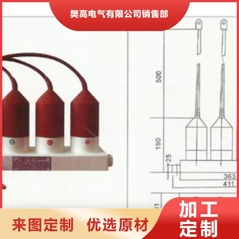 BSTG-B-12.7组合式保护器