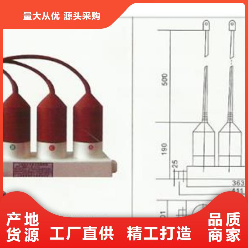 过电压保护器高低压电器自营品质有保障樊高氧化锌避雷器