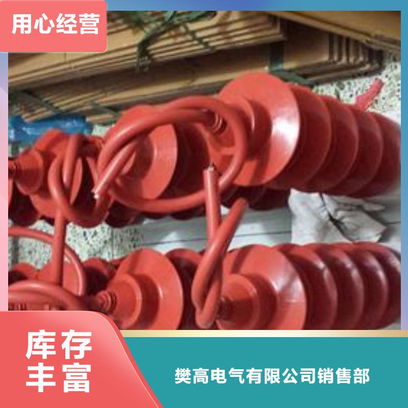 樊高氧化锌避雷器过电压保护器【高压开关柜】品质服务