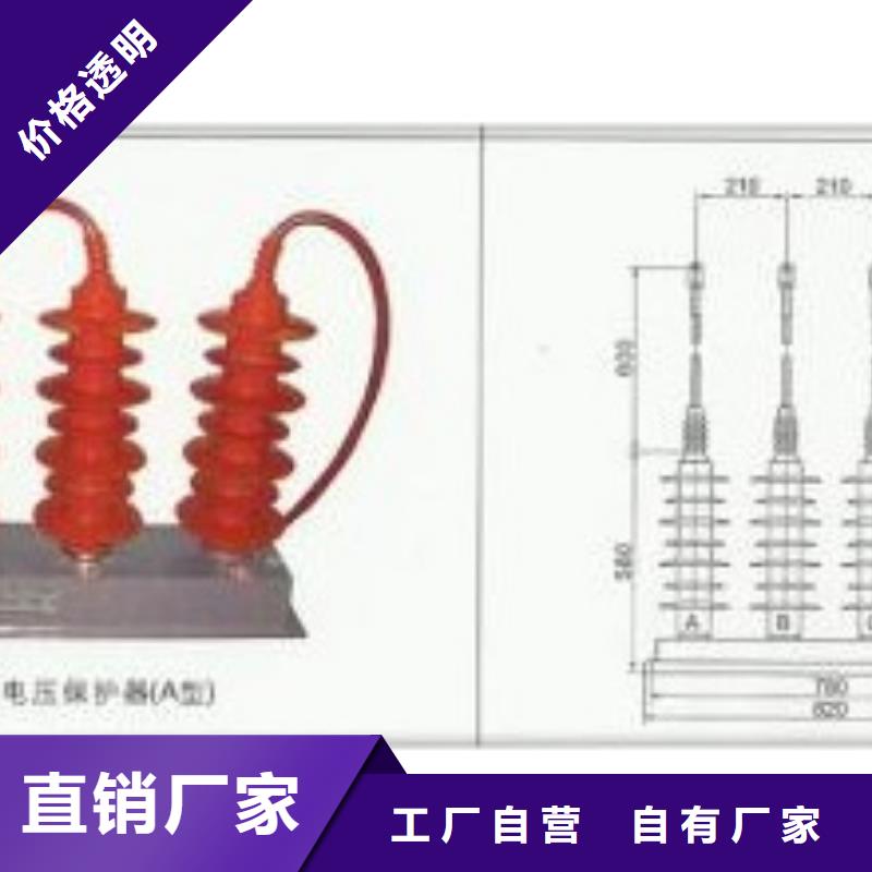 樊高氧化锌避雷器【 过电压保护器,氧化锌避雷器严格把关质量放心】