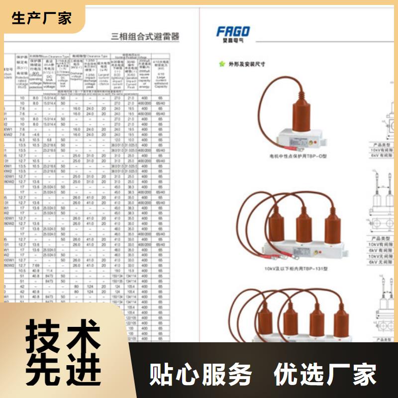 氧化锌避雷器视频-氧化锌避雷器(樊高)覆盖地域江苏省泰州市姜堰|靖江|南京|扬州|盐城|宿迁|淮安