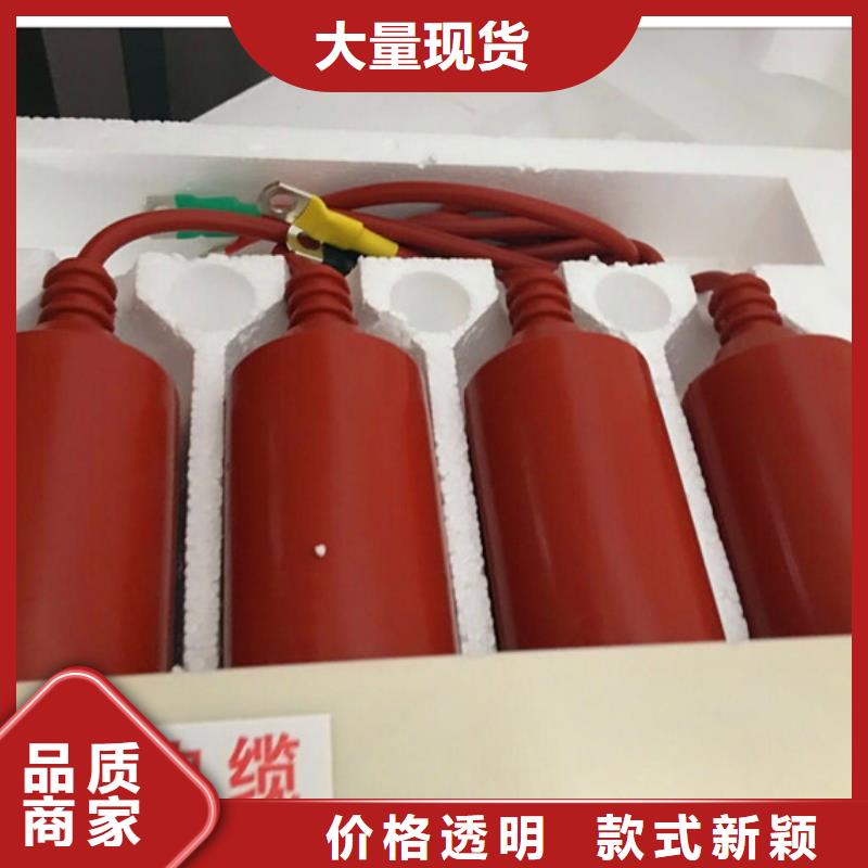 TBP-B-7.6F/85-J串联间隙过电压保护器