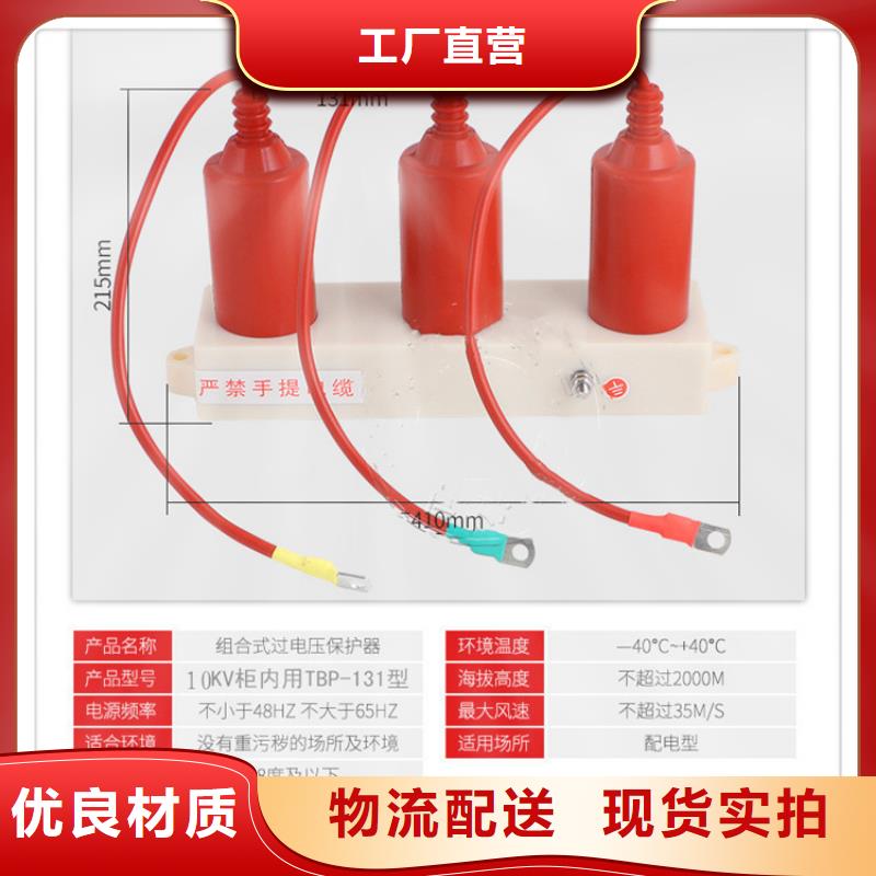 樊高氧化锌避雷器【 过电压保护器,氧化锌避雷器严格把关质量放心】