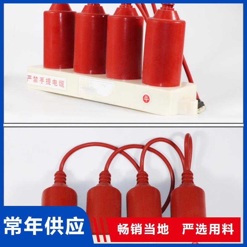 【高标准高品质 过电压保护器,氧化锌避雷器严格把关质量放心】_企业旺旺