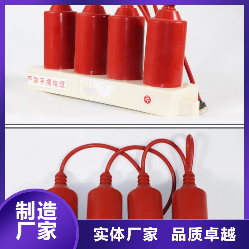 过电压保护器固定金具品牌企业由樊高为您