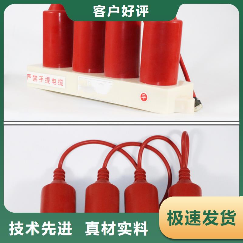 过电压保护器【高低压电器】匠心工艺|氧化锌避雷器-樊高电气销售部(泰州市分公司)