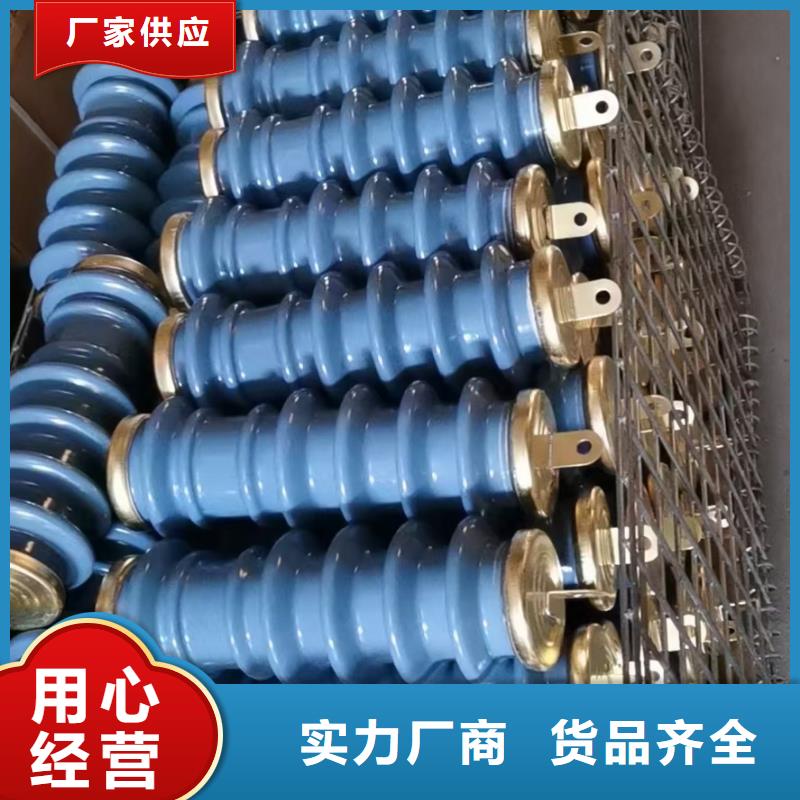BSTG-B-12.7组合式保护器
