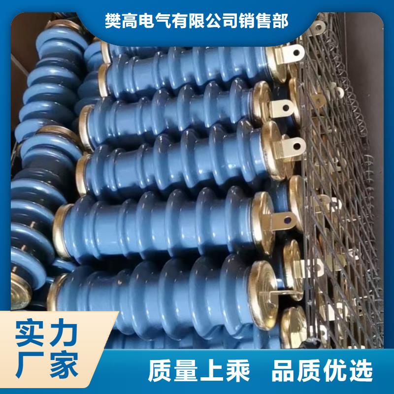 樊高氧化锌避雷器【 过电压保护器,氧化锌避雷器严格把关质量放心】