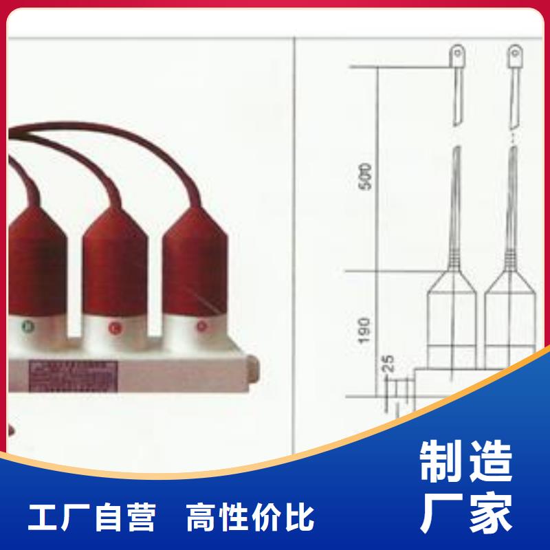 【过电压保护器】绝缘子一站式采购-可发货到高陵|莲湖|延安|汉中|榆林|商洛