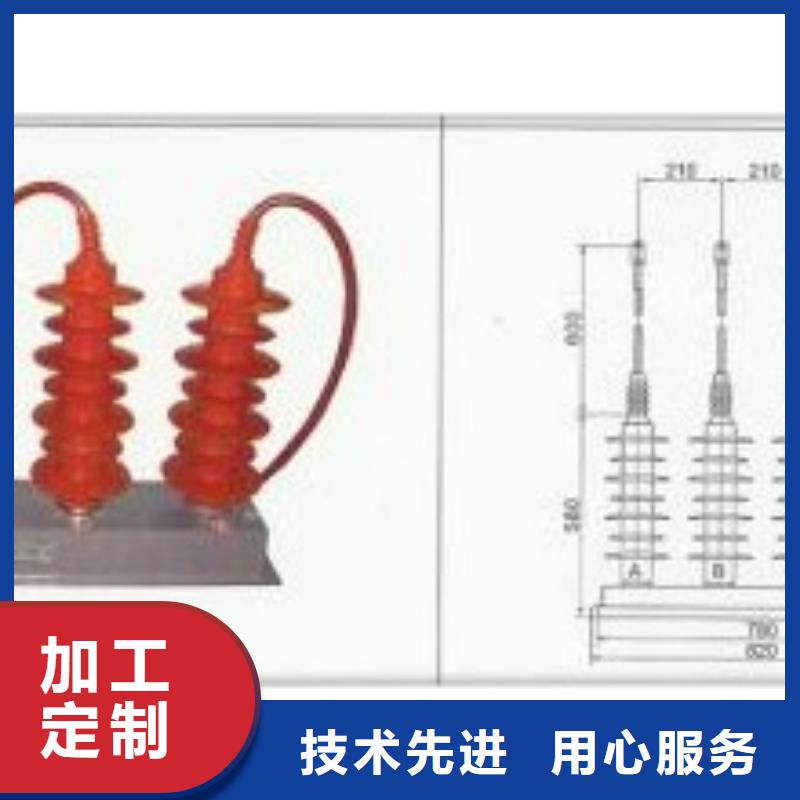 TBP-C-42/310F组合式保护器