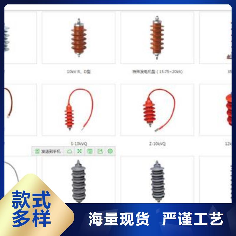 樊高氧化锌避雷器过电压保护器【高压开关柜】品质服务