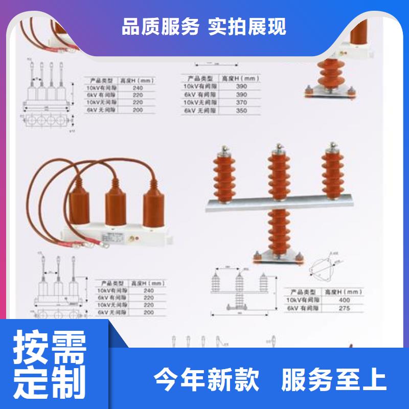 樊高氧化锌避雷器过电压保护器【高压开关柜】品质服务
