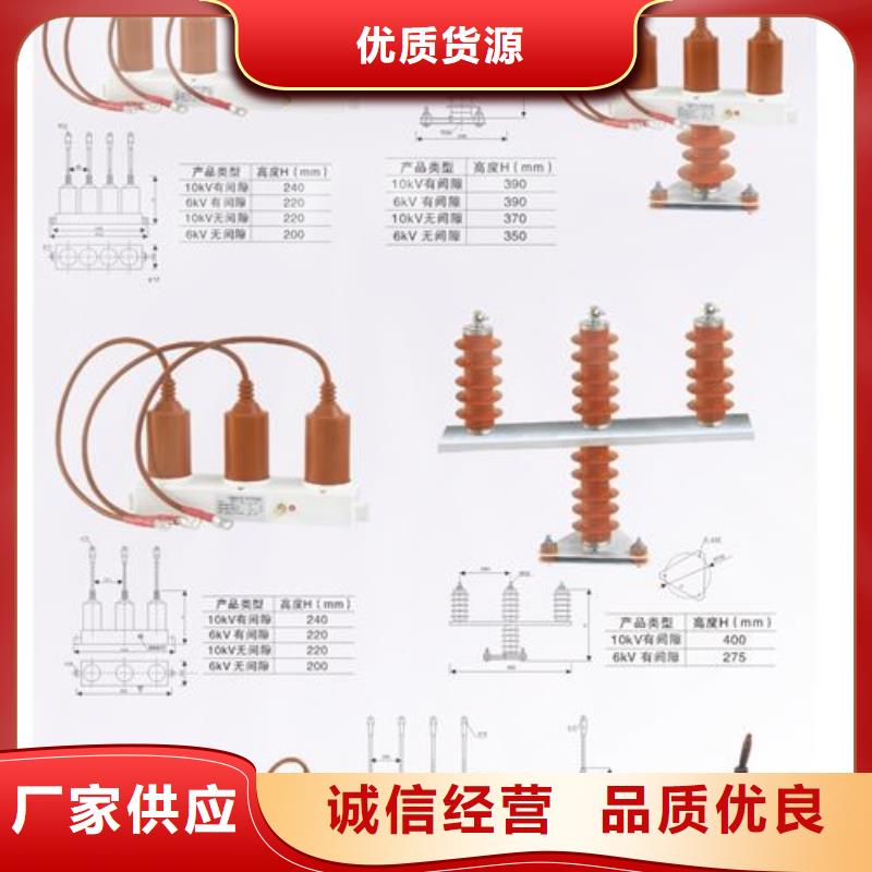樊高氧化锌避雷器【 过电压保护器,氧化锌避雷器严格把关质量放心】